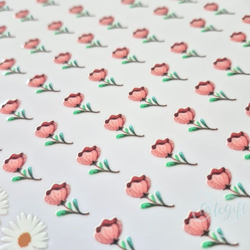 Produto imagem - b4c7502c-6982-4ce3-a0f5-d5b009f66e5d