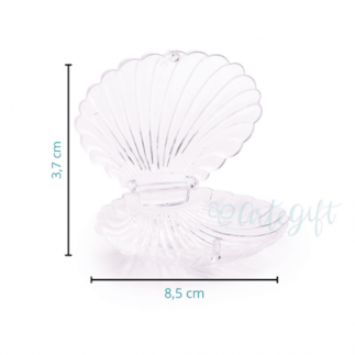 Concha Mini Cristal Caixa Acrílica