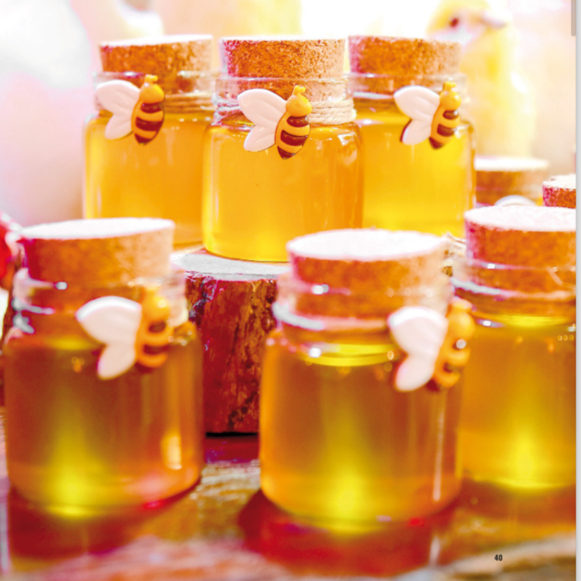 Produto imagem - b718647a-ef48-49cf-bf14-395b063e49da