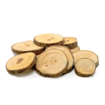 Tronco Mini 8 Unidades